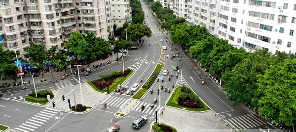 道路绿意常驻