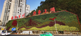 巨幅绿化造型画亮相
