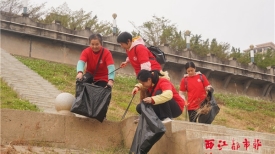 让河堤沿线更靓丽整洁