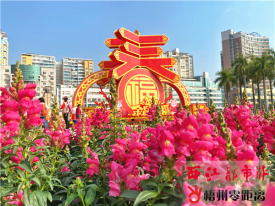 春意盎然