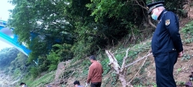 打击河堤护坡种菜行为