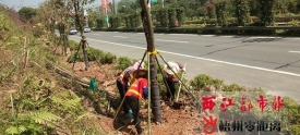 绿化提升