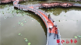 荷花池加快施工