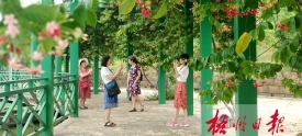 增植花卉 提升景观