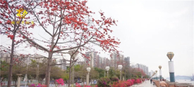 美丽梧州