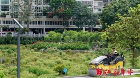 进一步提升公园景观