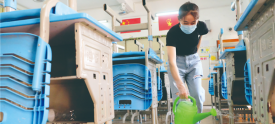 爱国卫生运动丨对教学场所进行防疫消杀