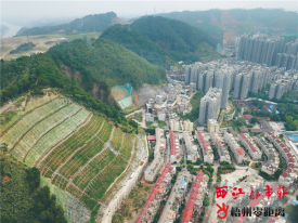 翠绿的狮卧山