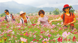格?；稳死? width=