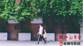 抬头有花色