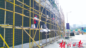 打造绿墙 美化道路