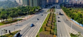 道路绿化见成效