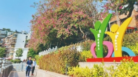 荷花池畔景观美