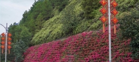 彩化山体边坡