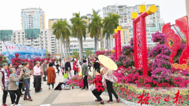 市民赏花热情不减