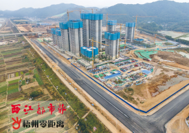 推进南岸路网建设.png