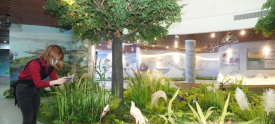 参观苍海国家湿地公园科普展示厅