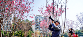 春暖花开