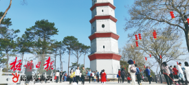 春节假期梧州市接待游客约150万人次