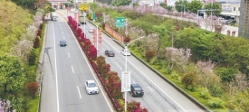 道路绚丽多彩