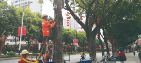 树木挂上营养液