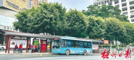 公共交通服务优化