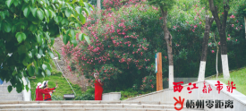 ST20210423462723春深时节　鲜花绽放000458.png