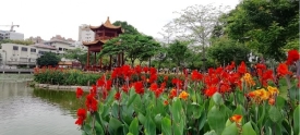 潘塘公园美景如画