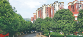 提高城市园林绿化水平