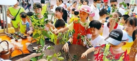 我们的节日丨市民以不同方式欢度端午节