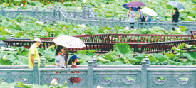 夏至伴随降雨而至