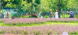 适时补花补绿