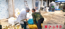 乡村振兴丨万秀区龙湖镇旺步村大力推动甜笋产业化发展