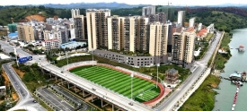 美丽新藤县