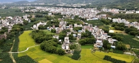乡村风景美如画
