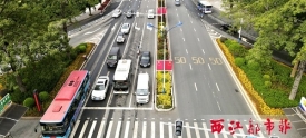 时花缤纷市容美