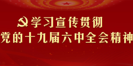 专题丨学习宣传贯彻党的十九届六中全会精神