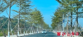 改善苍海新区交通环境