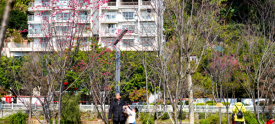 潘塘公园?；ǔ醴? width=
