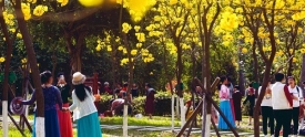 踏春赏花正当时