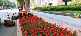 更换时花美化城市