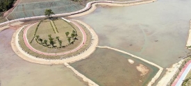 苍梧县迎宾湖现新貌