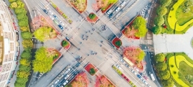 绿树红花 美化道路节点