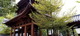 三总府文化旅游博览区一期府衙建筑已基本完工