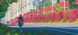 市区街头春意闹