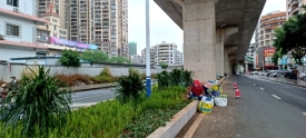 提升桥头周边道路绿化环境