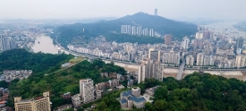 城区绿意美