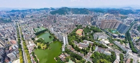 山城绿意浓