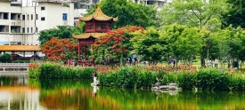 潘塘景色美如画