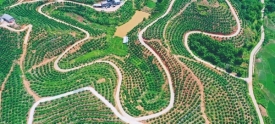 阡陌交通助乡村振兴
